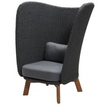 Крісло для відпочинку Peacock Wing Highback