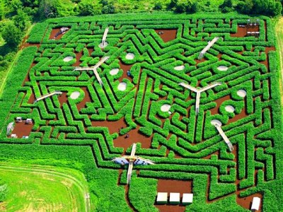 Davis' Mega Maze, Стерлинг, США