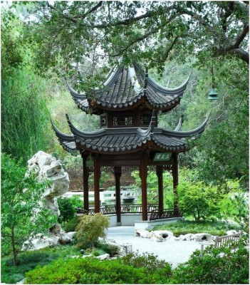 Китайский сад 3
