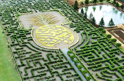 Pineapple Garden Maze  Оаху, Гавайи,