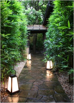 Японский сад 2